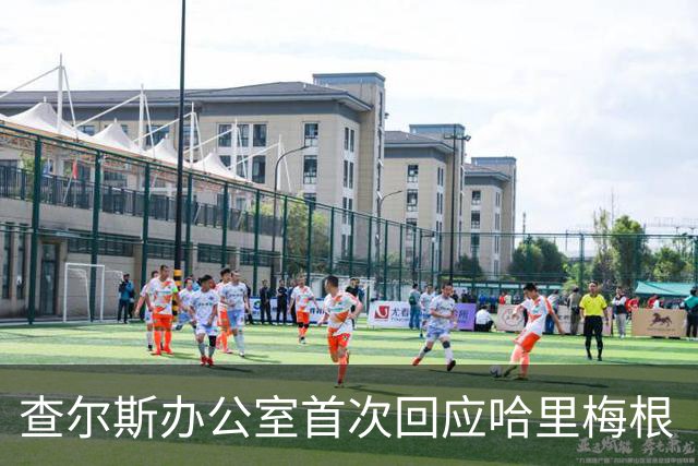 查尔斯办公室首次回应哈里梅根“皇家欢迎”：不承认，就是最狠的表态